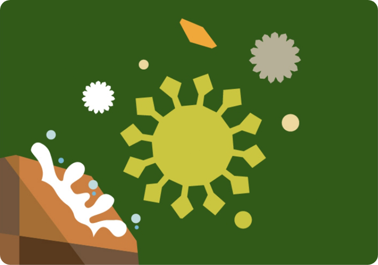 病気が発生しにくい