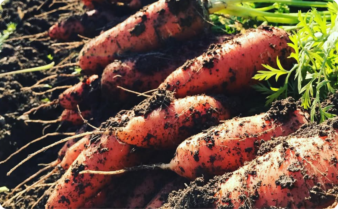 畜産との関わり