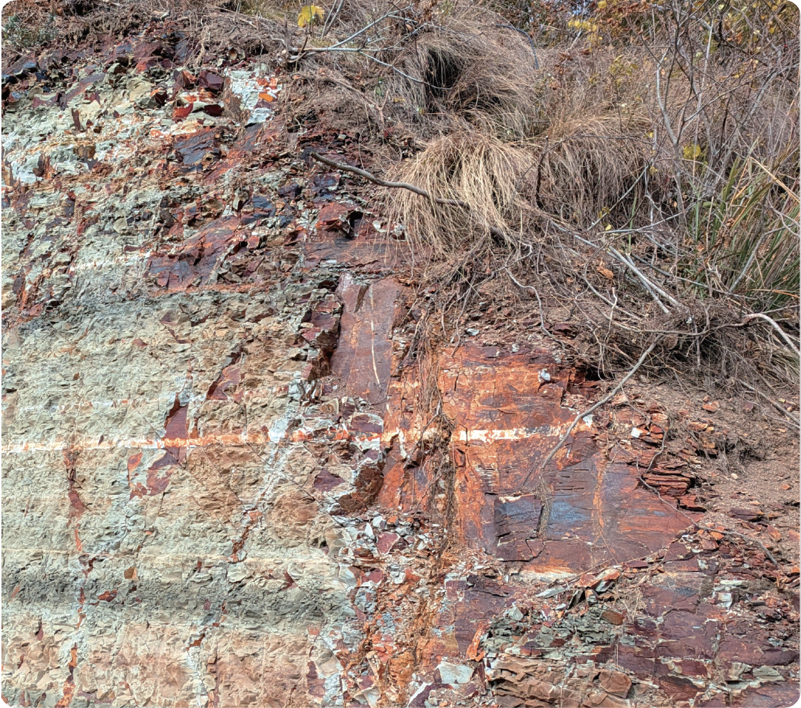 頁岩（けつがん）の地層