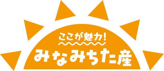 ここが魅力！みなみちた産