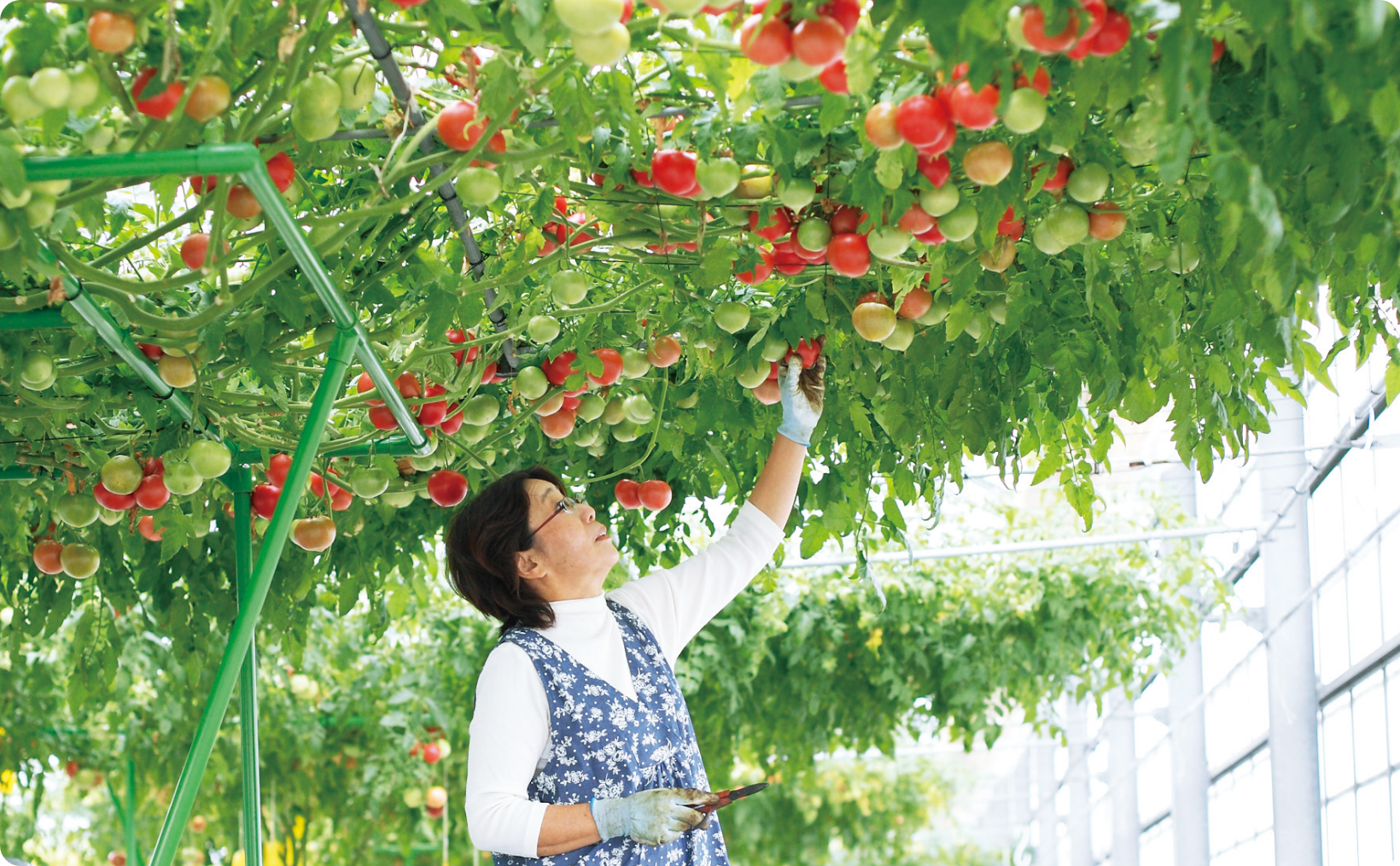 畜産との関わり