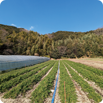 農業を学ぶ研修生の受け入れ