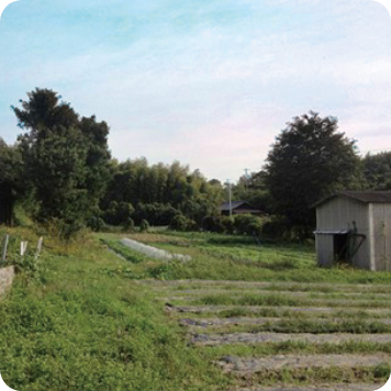 生物循環農法と畑の土