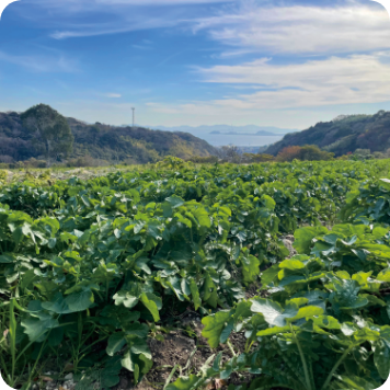 南知多町を選んだ理由